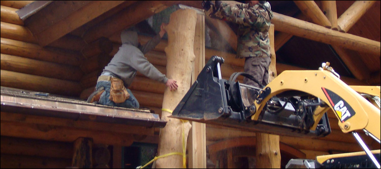 Log Home Log Replacement  Fairfield County, Ohio